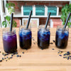 Butterfly Pea Flower Herbal Bubble Tea DIY Kit