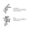 Lavender + Mint Linen Spray