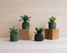 Small Green Plant Pot
