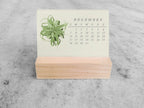 2025 Mini Desk Calendar, Tillandsia