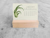 2025 Mini Desk Calendar, Tillandsia