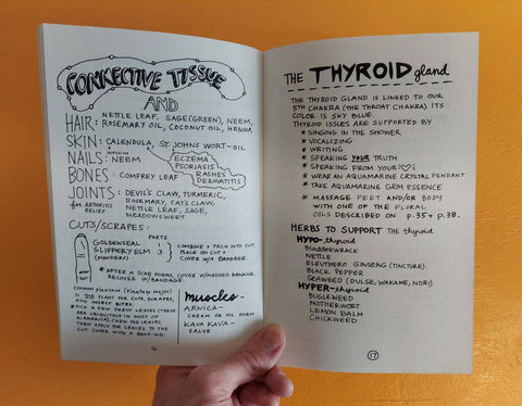 Healing Your Magical Body with Plants & Minerals (Zine)