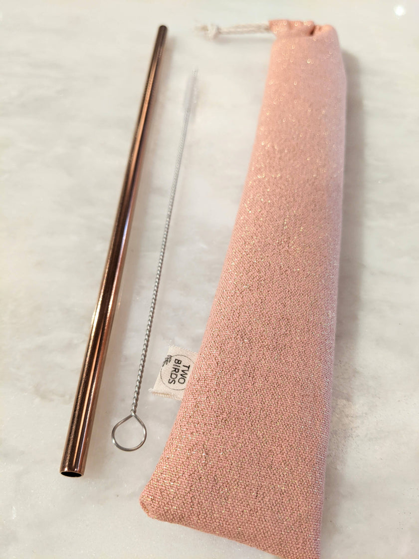 Reusable Straw Kit with Travel Pouch
