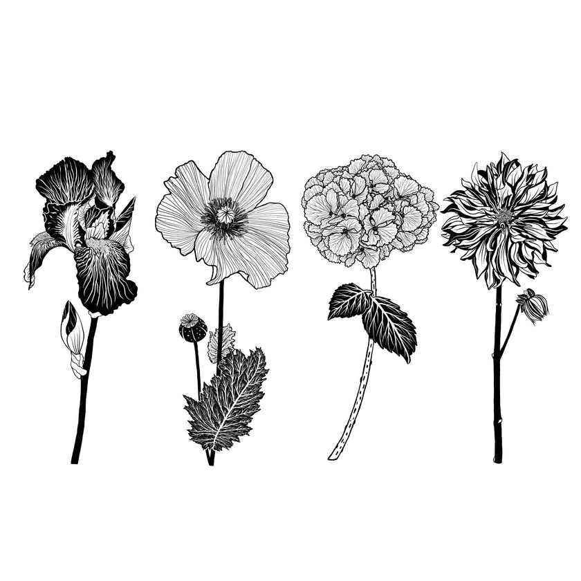 Flowers Black Collins Glass Quad Boxed Mixed Pack Set