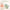 All-In-One Beginner Watercolor Kit - Desert Cactus