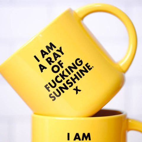 I Am a Ray of Fucking Sunshine Mug
