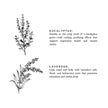Eucalyptus + Lavender - Natural Bar Soap
