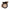 Cream Concealer