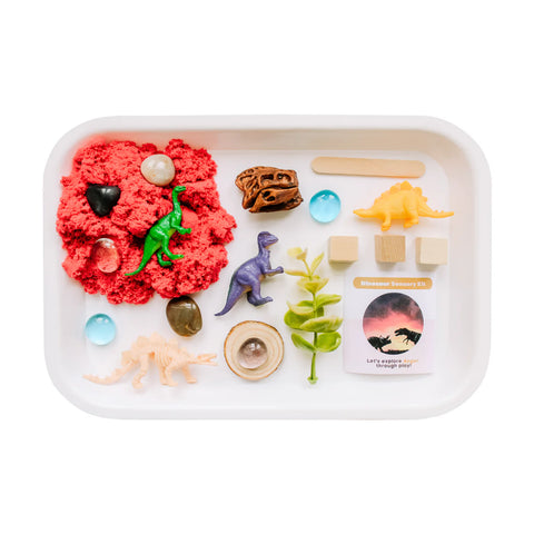 Children's Dinosaur Sensory Kit - image 7