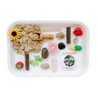 Children's Gardening Sensory Kit