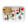 Children's Gardening Sensory Kit