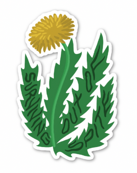Liz Morrow Stickers