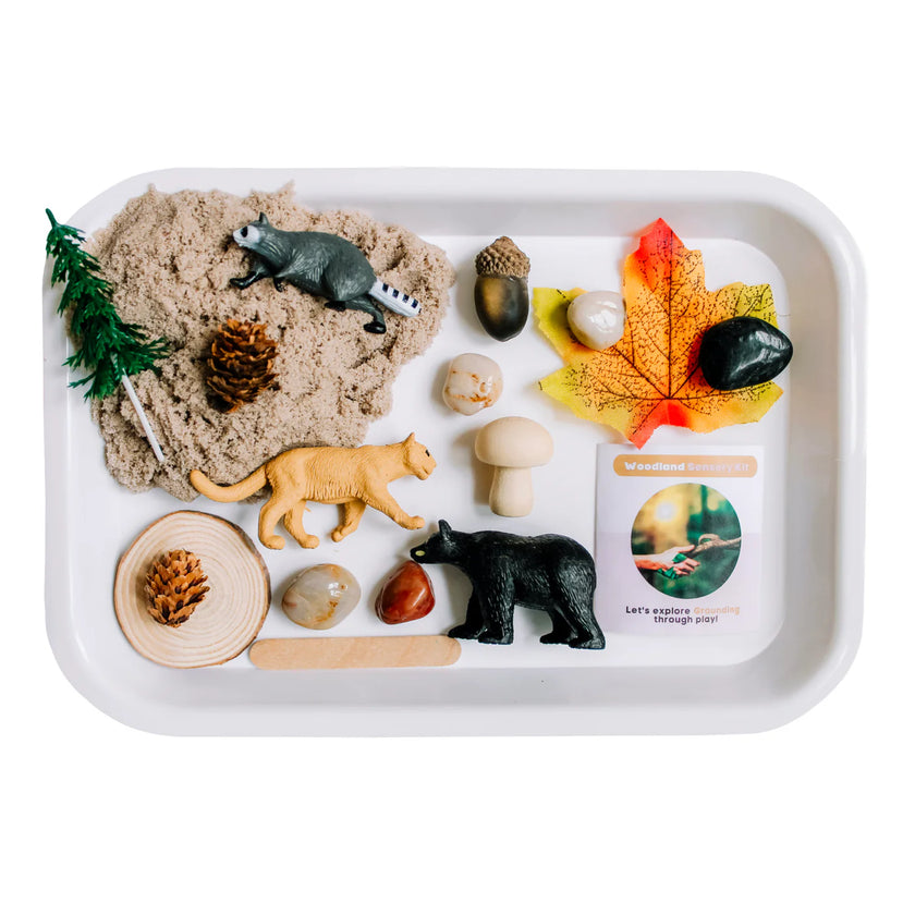 Children's Woodland Sensory Sand Kit