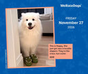 WeRateDogs 2026 Day-to-Day Calendar by Matt  Nelson