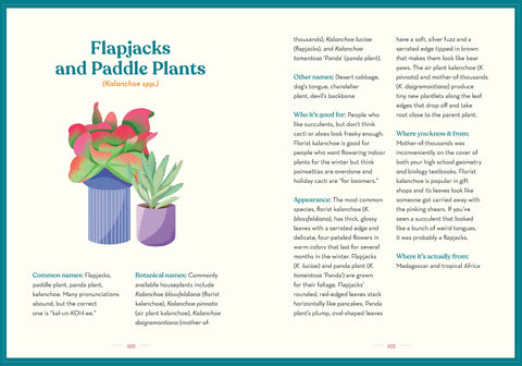 The Green Dumb Guide to Houseplants