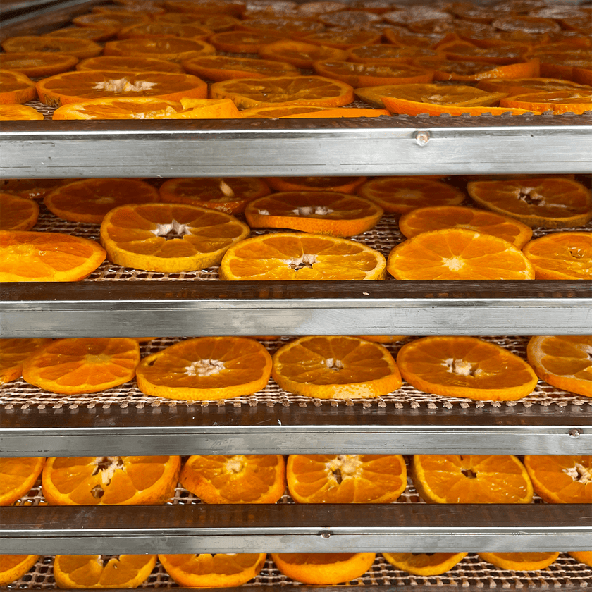 California Citrus Gems—beautiful dried citrus fruits