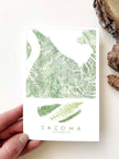 Tacoma Washington Ferns Postcard