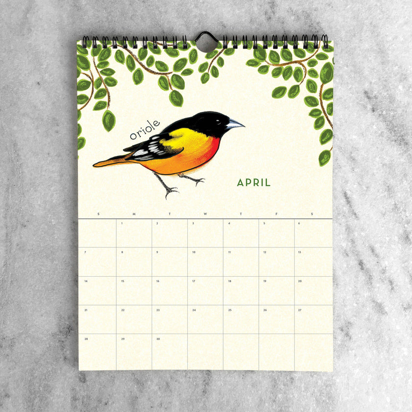 2025 Wall Calendar - Birds