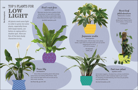 How Not to Kill Your Houseplant