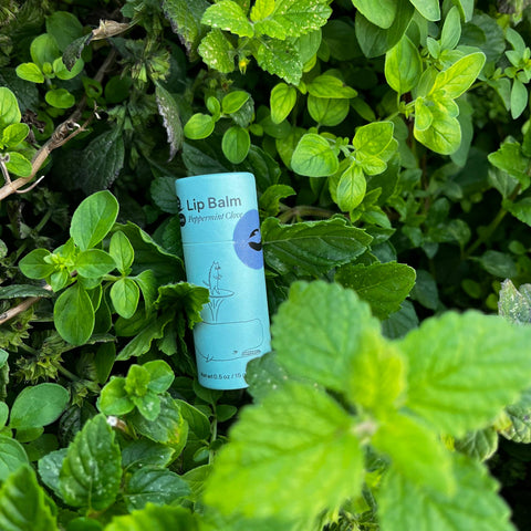 Peppermint Clove Lip Balm