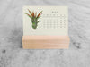 2025 Mini Desk Calendar, Tillandsia