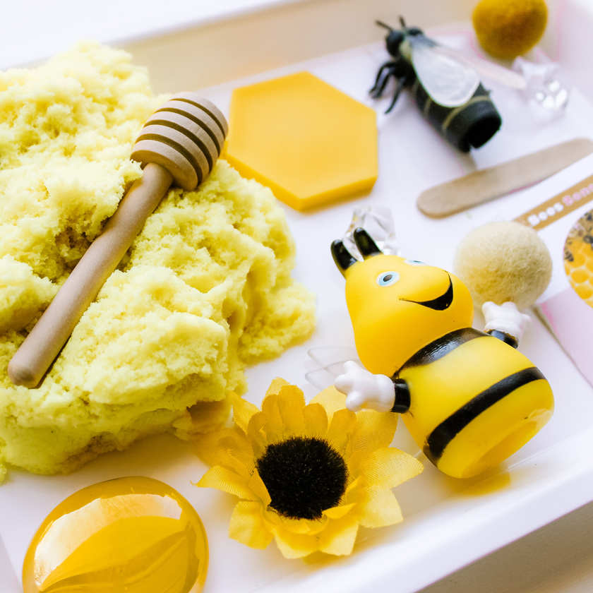 Children's Bees Sensory Kit