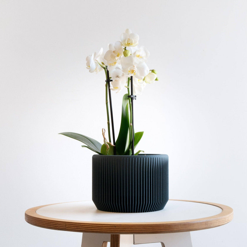 Praha Indoor Planter with Tray