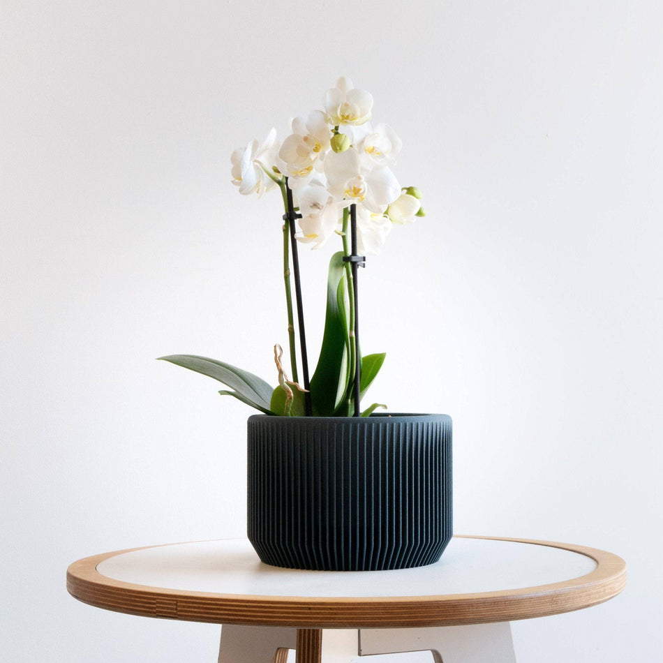 Praha Indoor Planter with Tray