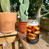 Shrub Drinking Jar: The Farm Is Mostly Sky