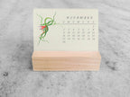 2025 Mini Desk Calendar, Tillandsia