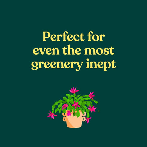 The Green Dumb Guide to Houseplants