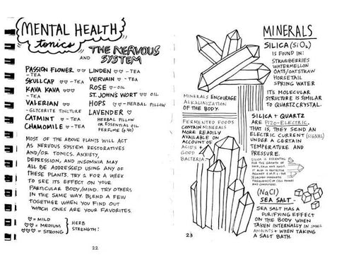 Healing Your Magical Body with Plants & Minerals (Zine)