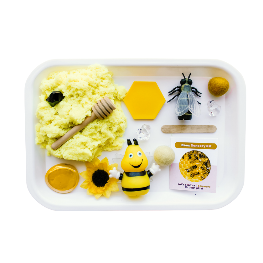 Children's Bees Sensory Kit