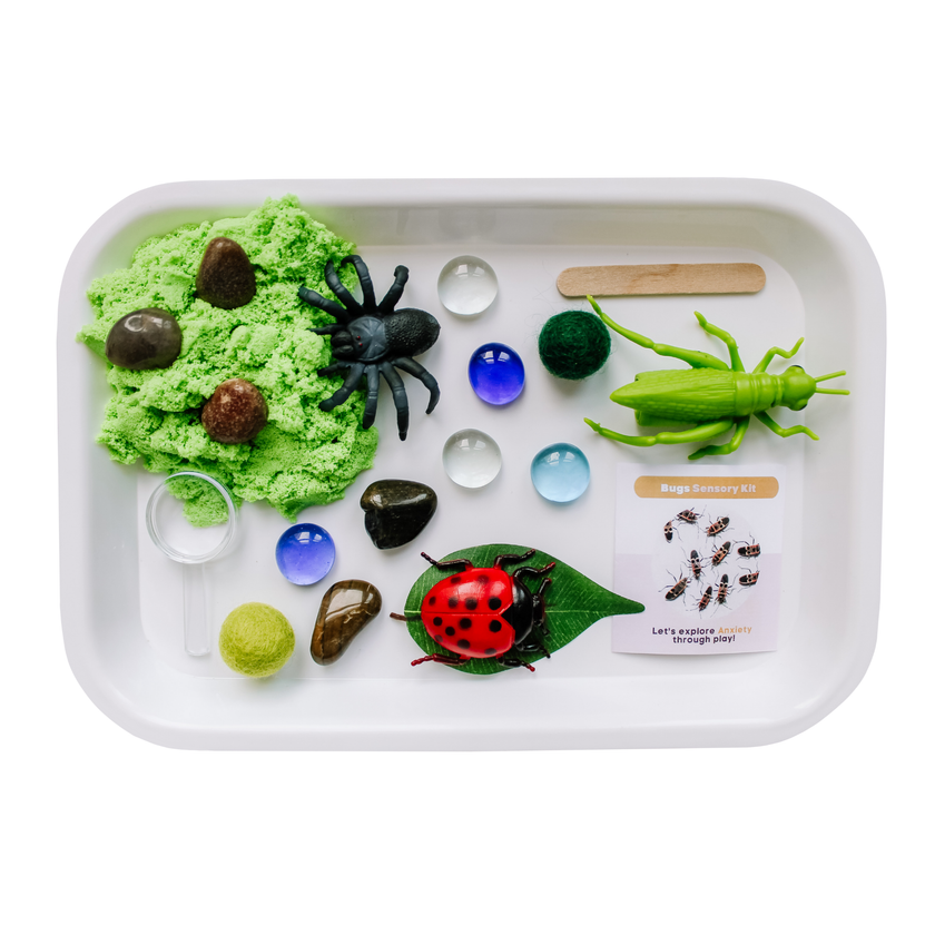 Children's Bugs Play Dough Sensory Kit