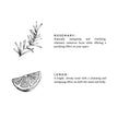 Rosemary + Lemon Linen Spray
