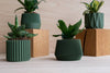 Small Green Plant Pot