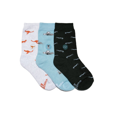 Kids Protect Animals Socks Gift Box