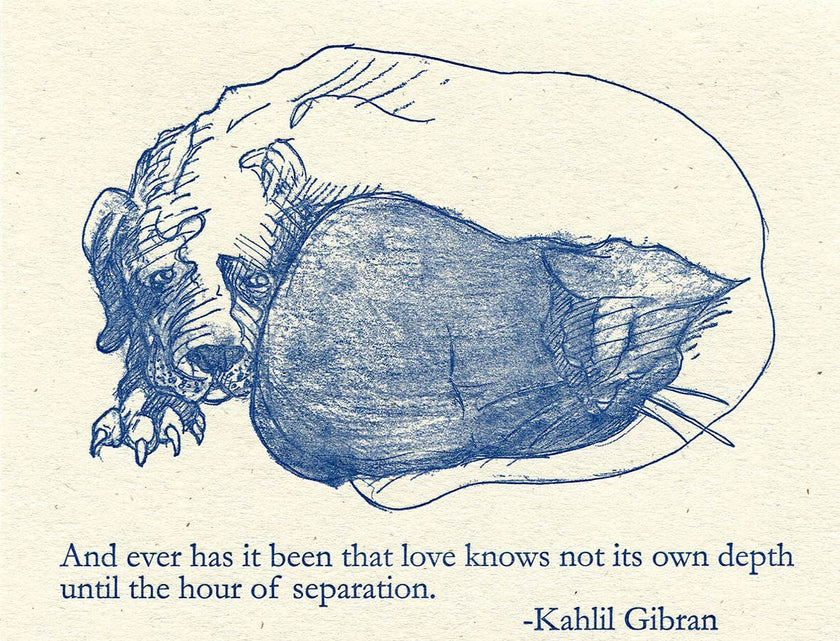 Pet Condolence Greeting Card