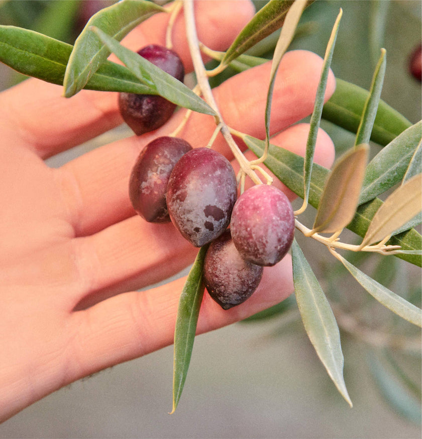 Sizzle Graza Olive Oil