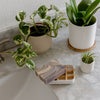 Biodegradable Soap Dish Tray - White