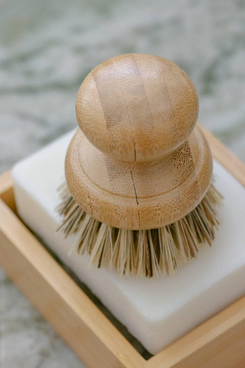 CASA AGAVE Pot Scrubber Brush - No Tox Life - image 5