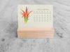 2025 Mini Desk Calendar, Tillandsia