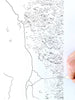 Puget Sound Life ART PRINT