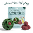 Allergy & Immunity Wellness Pops