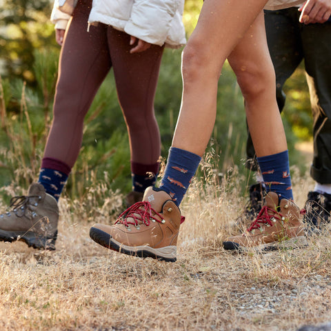 Protect National Parks Socks Gift Box