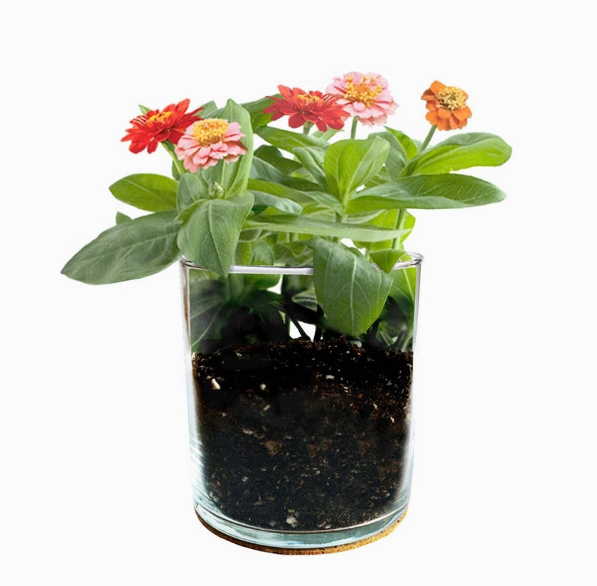 Happy Birthday | Flower Garden