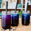 Butterfly Pea Flower Herbal Bubble Tea DIY Kit