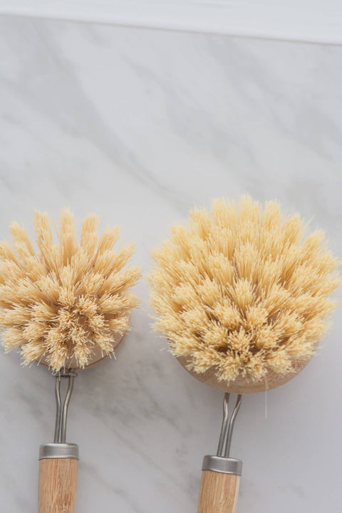 Pot Scrubber Brush Replacement Head