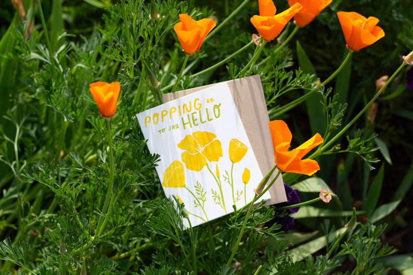 Popping By Poppies Letterpress Card | California Series