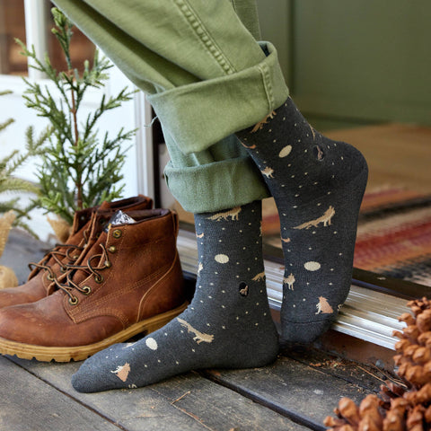 Protect National Parks Socks Gift Box